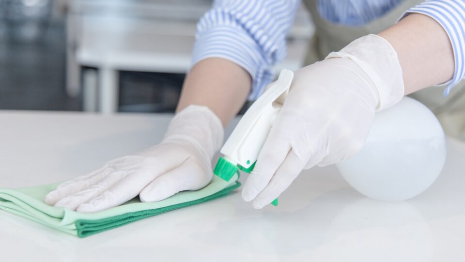 femme de ménage à Brindas