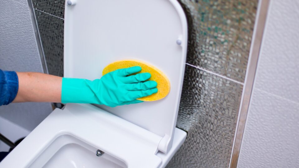 entreprise de nettouyage Brindas