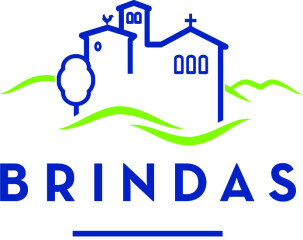 logo Brindas