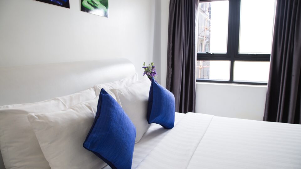 Ménage des Gones, Femme de ménage Chaponost